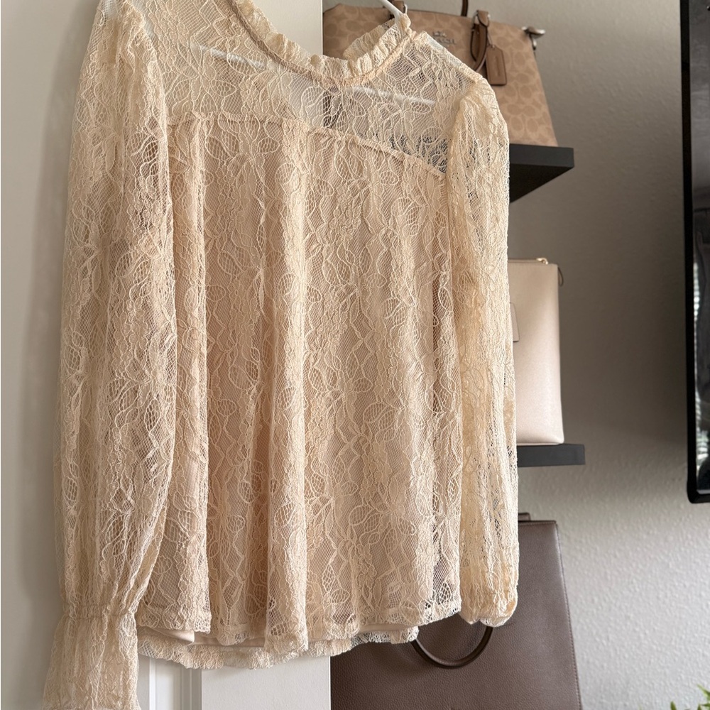 Elegant Lace Cream Top